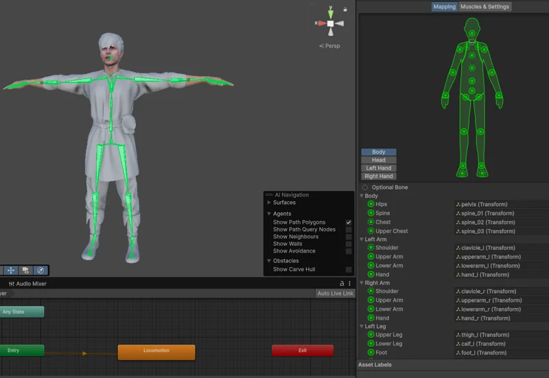 The character's rig in Unity: the bones mapped in green on the model, and the animator's states below